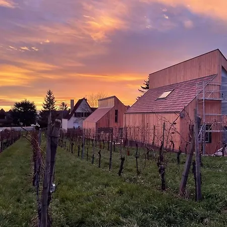 Le Cepage, Au Coeur Des Vignes. * Eguisheim