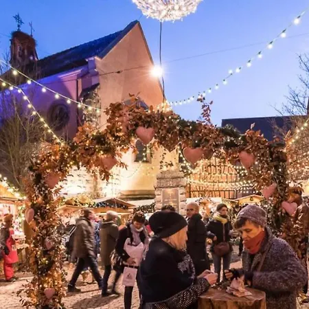 Le Cepage, Au Coeur Des Vignes. Holiday home Eguisheim