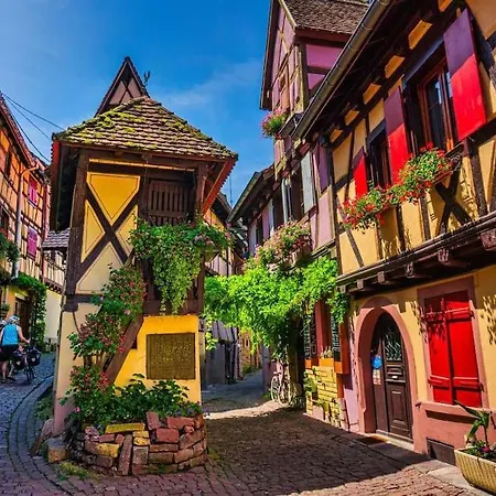 Le Cepage, Au Coeur Des Vignes. Eguisheim