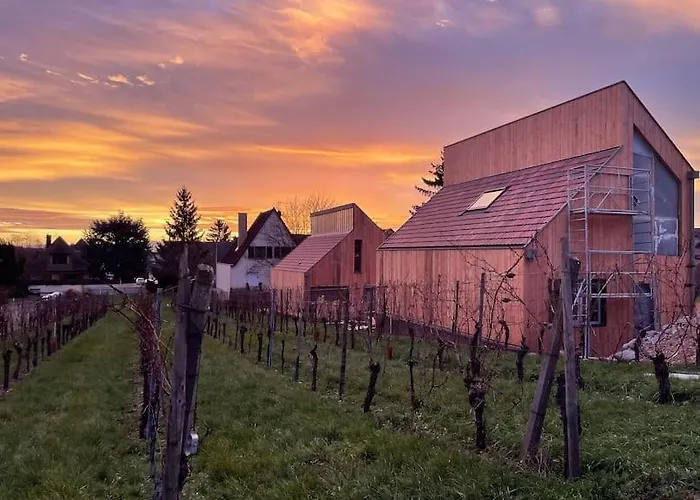 Le Cepage, Au Coeur Des Vignes. * Eguisheim
