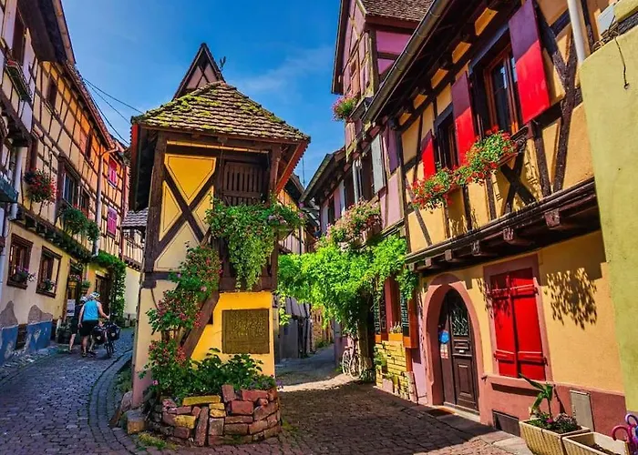 Le Cepage, Au Coeur Des Vignes. Eguisheim